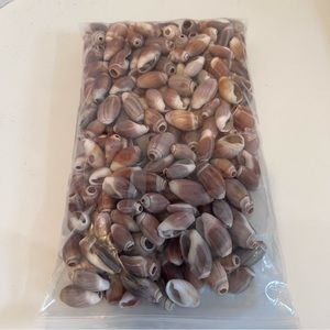 Small seashells 337 g